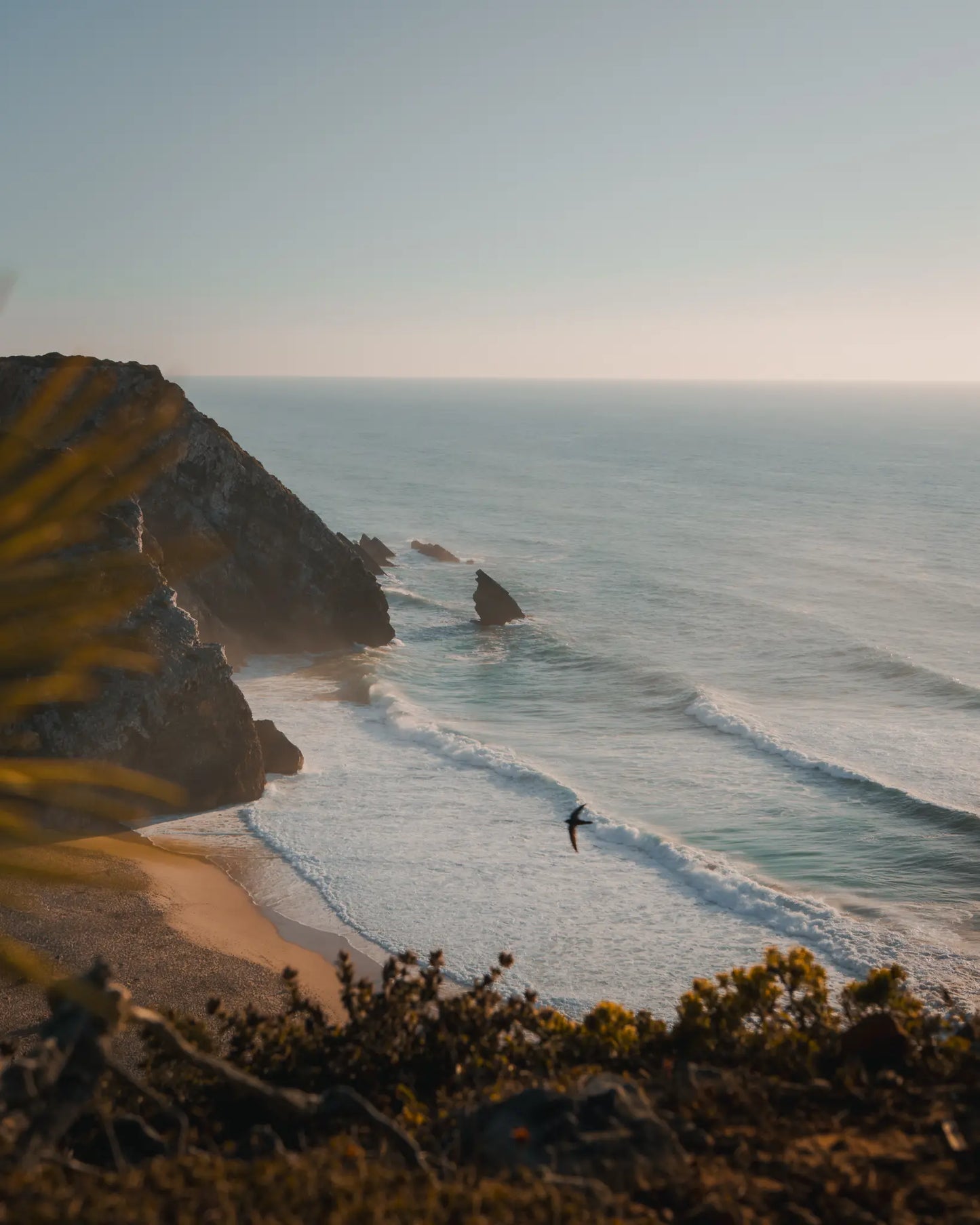 Surfer walking on Praia da Adraga beach at golden hour with bird in flight, Sintra, Portugal