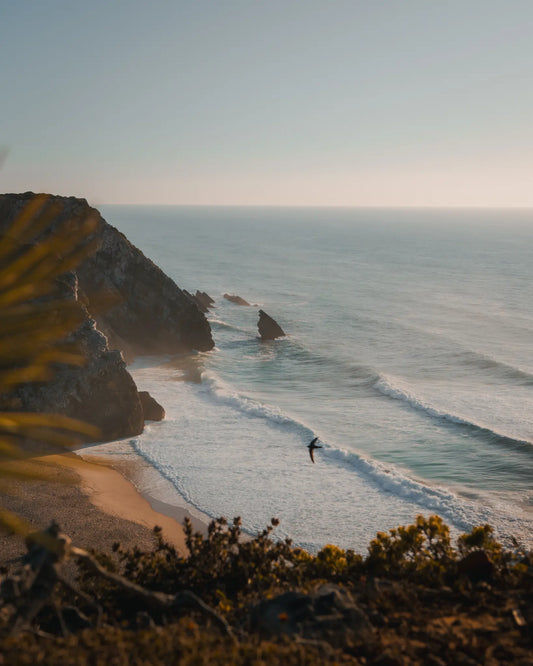 Surfer walking on Praia da Adraga beach at golden hour with bird in flight, Sintra, Portugal